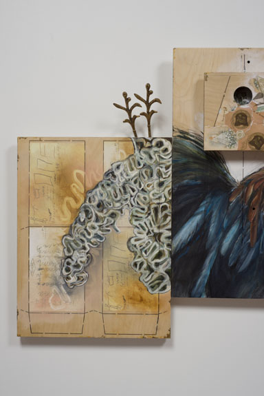 Jellyfish: Floating Memories